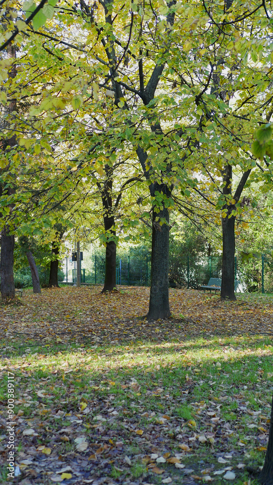Naklejka premium Beautiful view of a park in La Spezia with autumn colors
