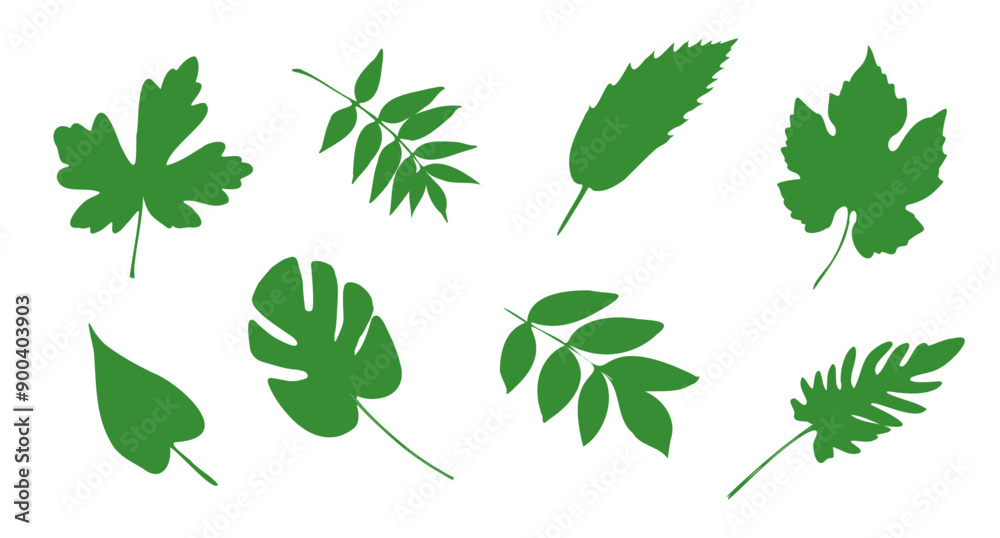 Vector Leaves Vector Leaves