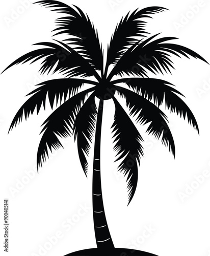 Palm tree silhouette