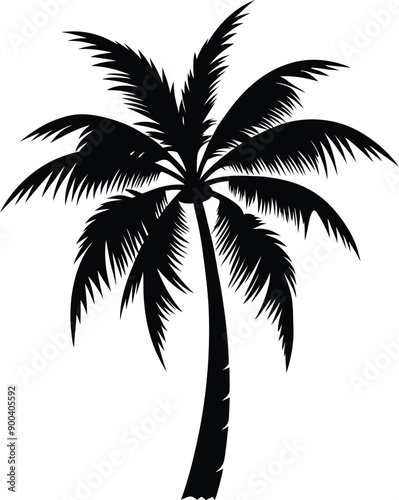 Palm tree silhouette