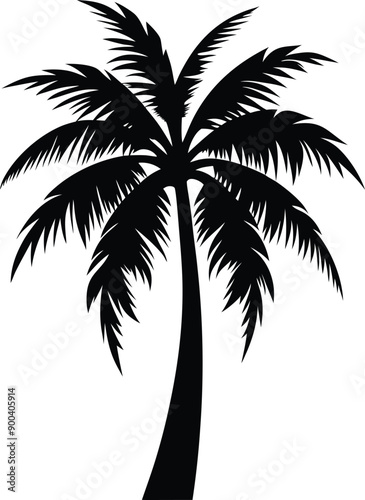 Palm tree silhouette