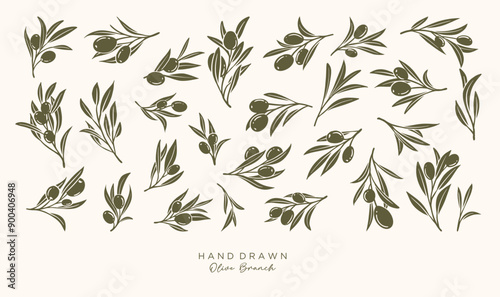 Olive Branch and olive oil logo or olive icon, herbs elements in vector format, floral olive frame and border virgin oil,  hand drawn olive branch botanical