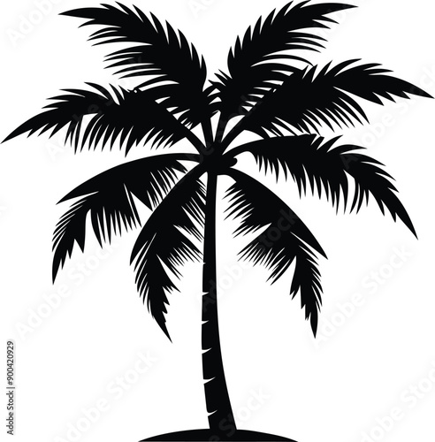 Palm tree silhouette