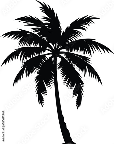 Palm tree silhouette