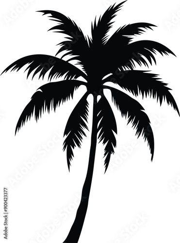 Palm tree silhouette