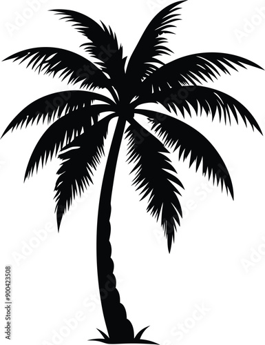 Palm tree silhouette