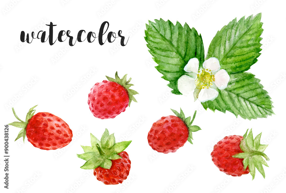 Watercolor illustration of wild strawberries, leaves, and flowers, ideal for art and nature lovers Watercolor illustration of wild strawberries, leaves, and flowers, ideal for art and nature lovers
