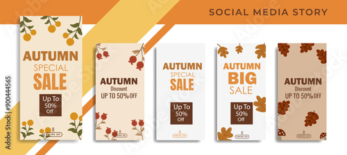 Autumn sale leaves collection pattern Vector.Discount 50%.Special offer sale template.