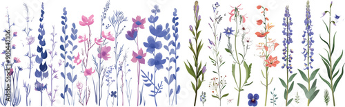 Vintage modern botanical illustration of garden flowers.