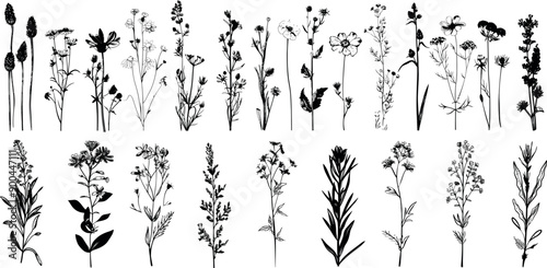  Vintage medicinal herbs sketch set of ink hand drawn medical herbs and plants.