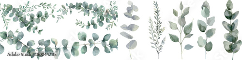 Green leaf branches watercolor illustration set, for wedding stationery, greetings, wallpapers, fashion