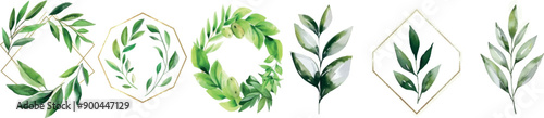 Card design with leaves. Watercolor background with flowers. Floral elements, botanic watercolor illustration.