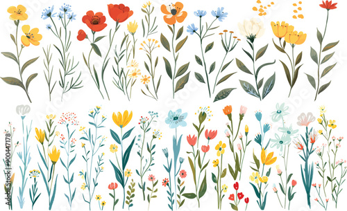 Wild flower outline set. Collection of hand-drawn herbs, weeds, a meadow