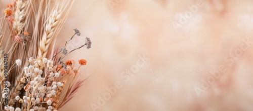 Dried Flowers and Wheat on Peach Background