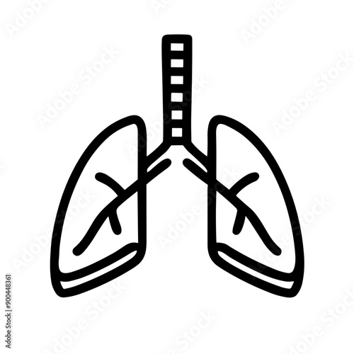 Anatomical lungs illustration in minimalist style on white background -  
