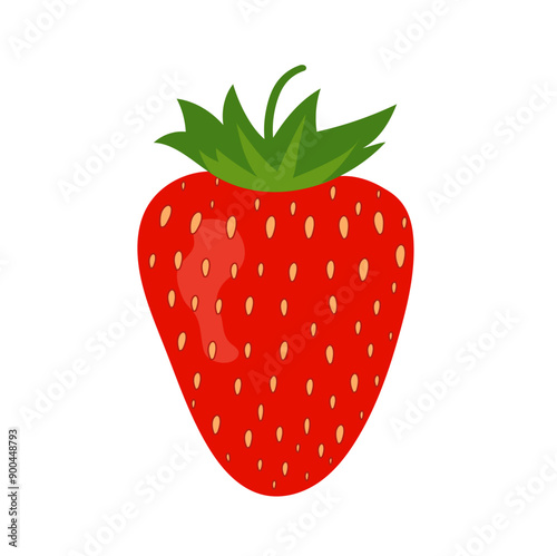 Strawberry isolated on white background. Ripe strawberry. Red berry fruit. Vector illustration.