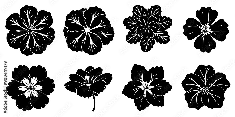 Stunning Geranium Flower on White Background: Perfect for Your Projects Stunning Geranium Flower on White Background: Perfect for Your Projects