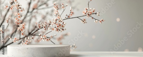 White Blossom Branch and Concrete Platform