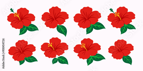 Hibiscus Flowers Bundle Collection on White Background: Fresh and Vibrant