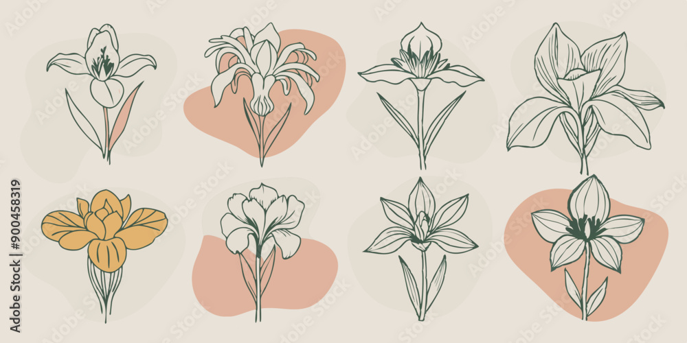 Purple irises bloom flowers beautifully against a white backdrop.
