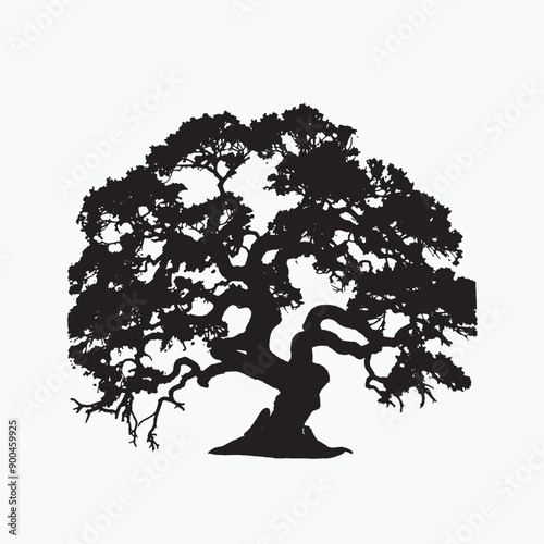 black silhouette of a angel oak isolated white background