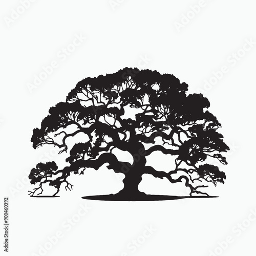 black silhouette of a angel oak isolated white background