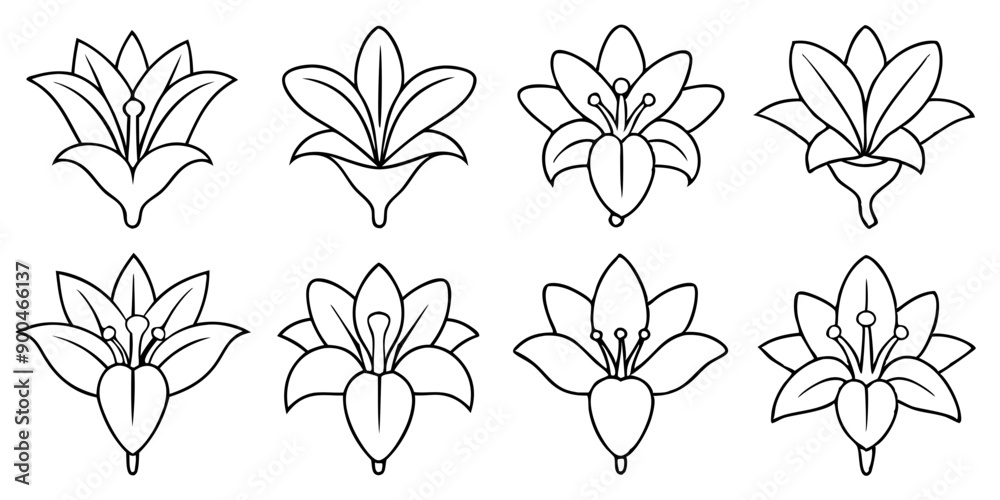 Beautiful Ily Flower on White Background: Floral Elements for Invitations and Events Beautiful Ily Flower on White Background: Floral Elements for Invitations and Events