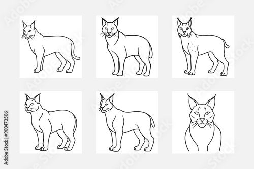Lynx line art illustration set perfect for wall art
