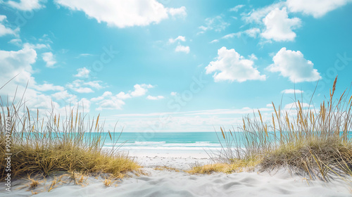 Fototapeta Naklejka Na Ścianę i Meble -  Blue sky with white clouds, sea and grass growing on the sandy shoreline