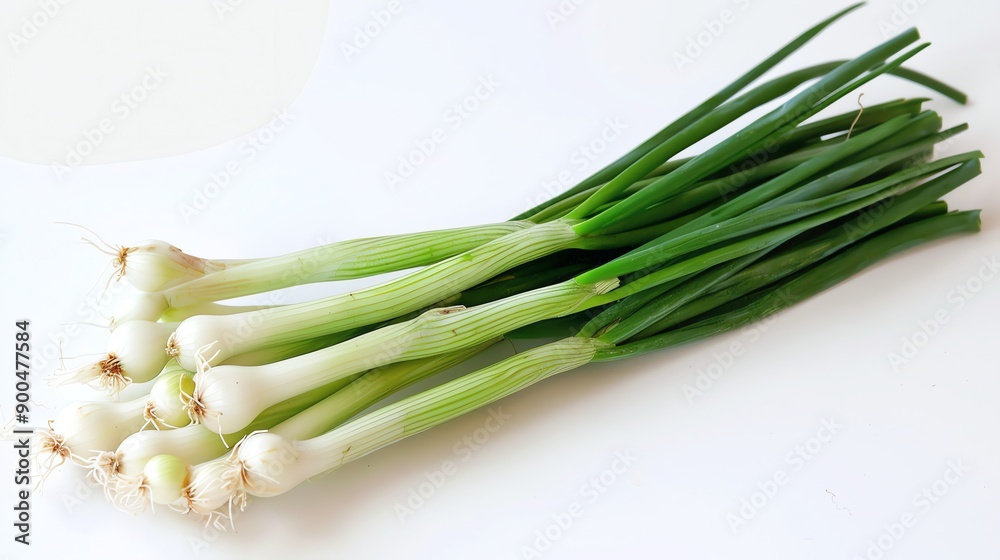 Fresh green spring onions isolated on white background. Bunch of organic young scallions with roots. Fresh green spring onions isolated on white background. Bunch of organic young scallions with roots.