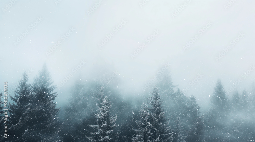 A spruce forest and a blizzard of snow A spruce forest and a blizzard of snow