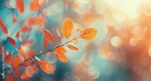 Autumn Leaves in Sunlight
