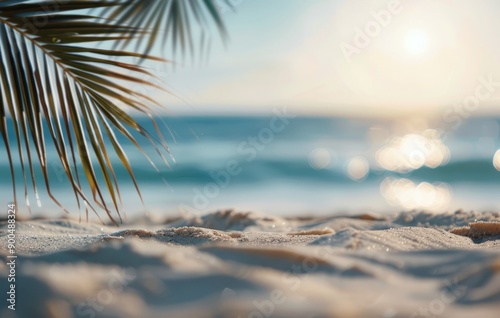 Palm Tree Overlooking Beach
