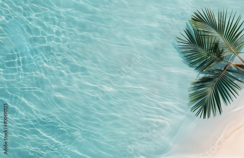 Palm Tree Shadow on Pool Water
