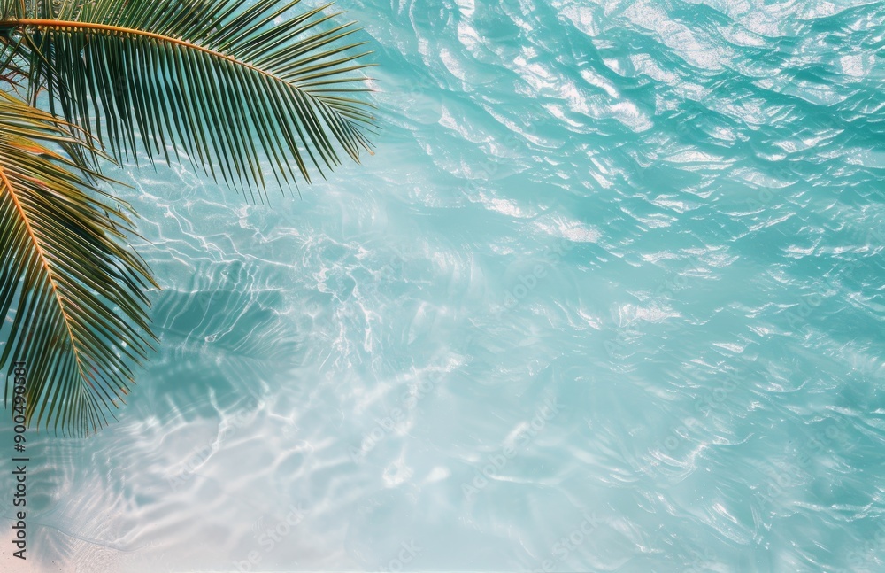 Palm Tree Shadow on Pool Water Palm Tree Shadow on Pool Water