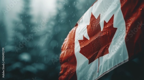 Canadian Flag Close-Up