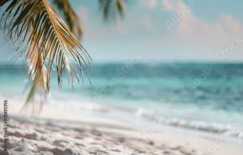 Palm Leaf Over Tropical Beach