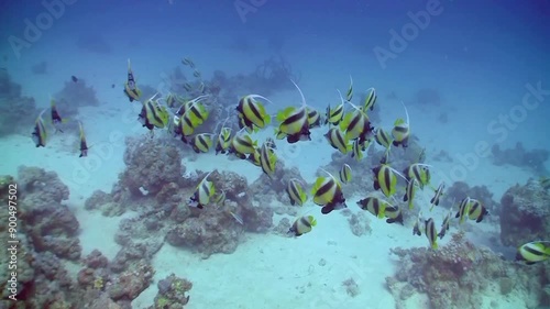 a very magical underwater land