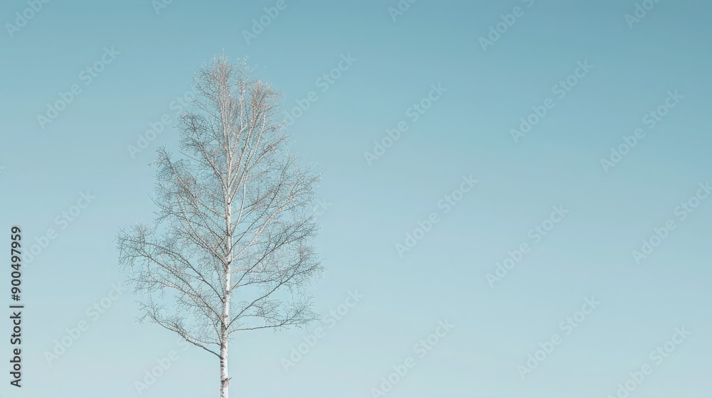 A solitary birch tree with white bark stands out against a clear sky, creating a minimalistic background with ample space for text. A solitary birch tree with white bark stands out against a clear sky, creating a minimalistic background with ample space for text.