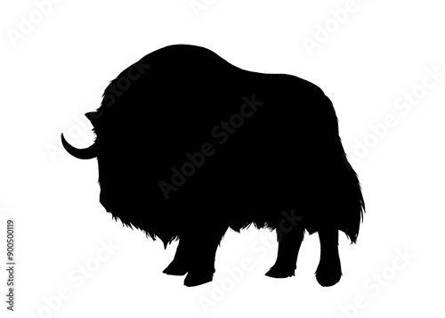 Silhouette image of muskox isolated 