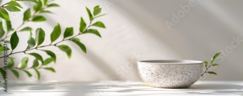 Plant in Pot With Light Shadows