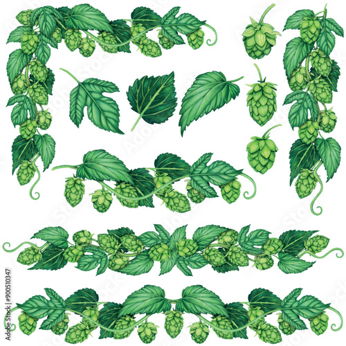 Watercolor hand drawn hops elements and leaves