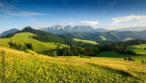 mountain landscape in the pieniny national park at the foot of the tatra mountains pieniny park is located on the border of poland and slovakia © Roland