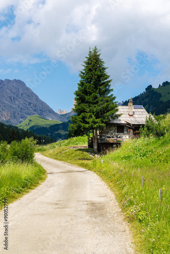 A view of Val Duron near Campitello di Fassa - Val di Fassa - Italy