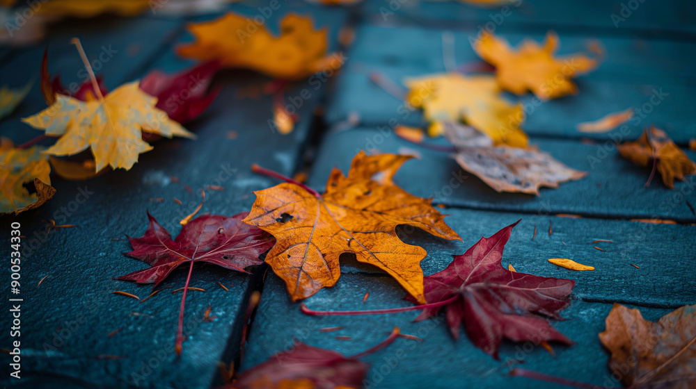 Colorful Autumn Leaves Lying on a Wooden Pathway in a Quiet Park During Fall Colorful Autumn Leaves Lying on a Wooden Pathway in a Quiet Park During Fall