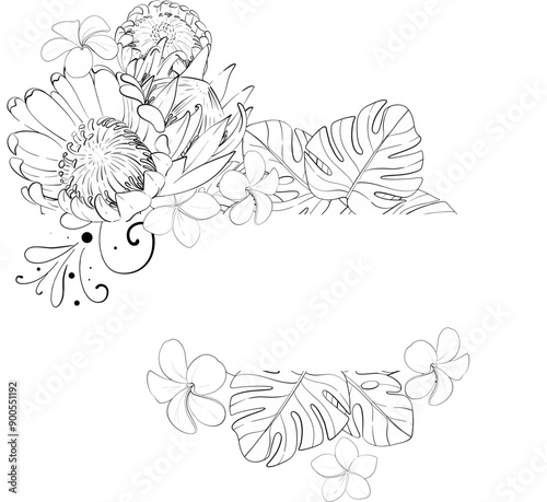 Vector tropical border - bouquet of proteas, monstera leaves, and plumerias flowers. Summer botanical graphic. Template, arrangements. Black circuit silhouette