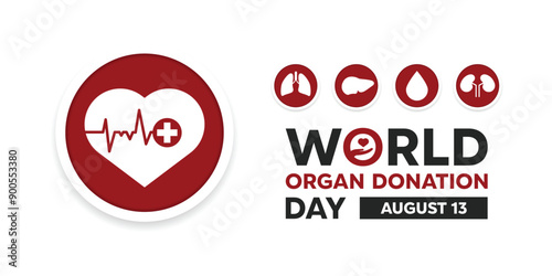 World Organ Donation Day. Heart, lungs, liver, blood and kidney. Great for cards, banners, posters, social media and more. White background.

