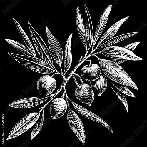 A drawing of a tree with leaves and fruit