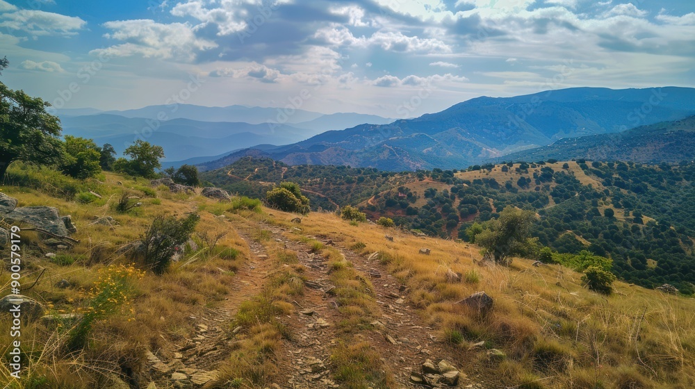 Naklejka premium Mountainous Landscape with Winding Path