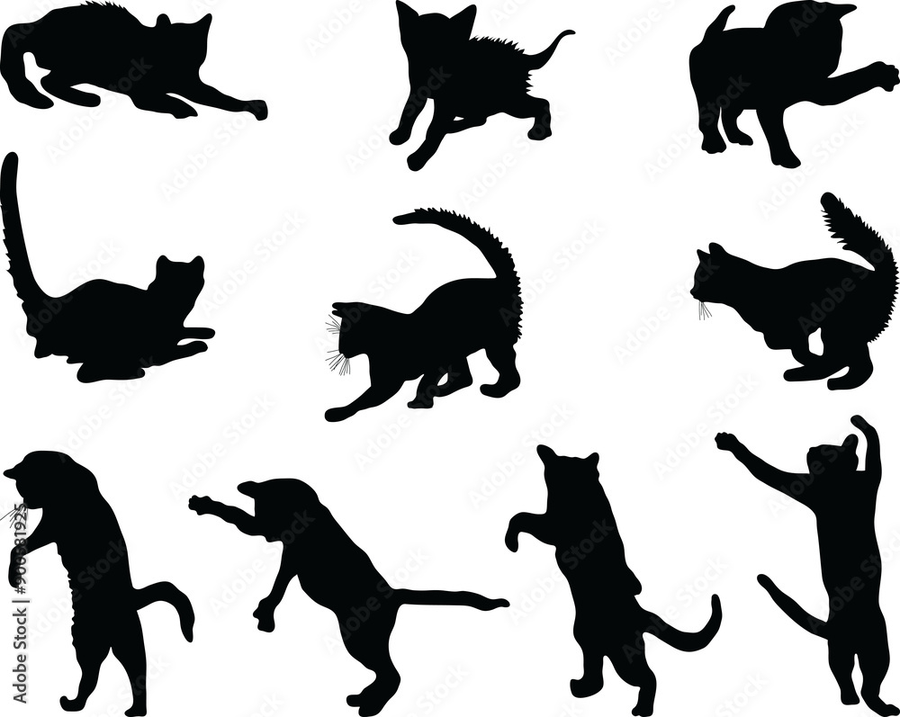 Black silhouettes of cats o Black silhouettes of cats o
